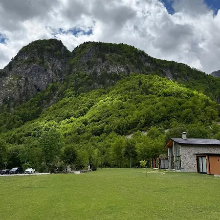 Shpija Ujevara E Vogel 2