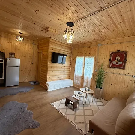 Shpija Ujevara E Vogel 2 *