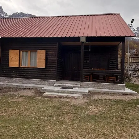 Shpija Ujevara E Vogel 2 *